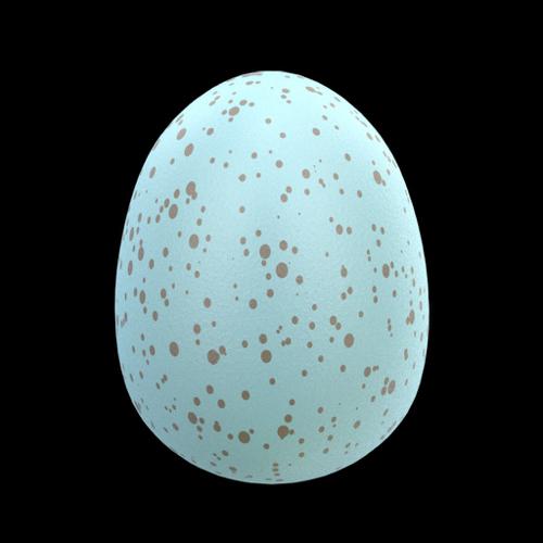 Robin's Egg preview image